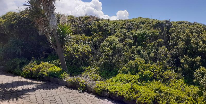 0 Bedroom Property for Sale in Wilderness Western Cape